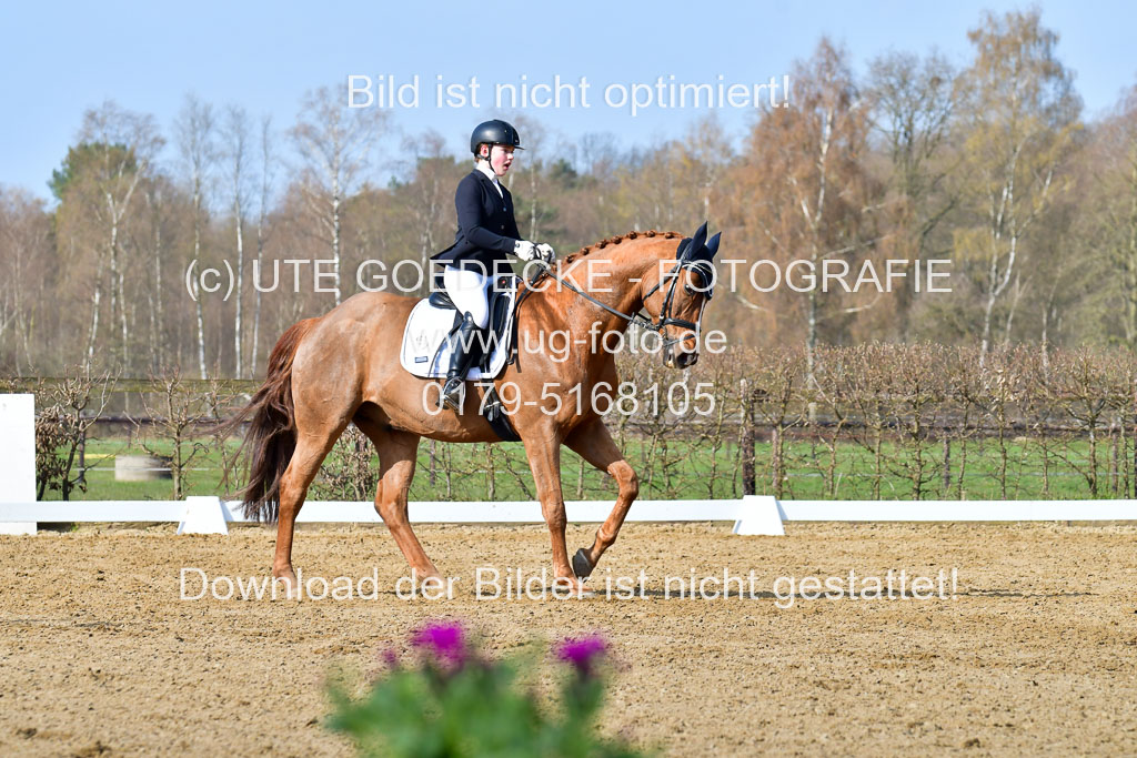 Reitsportzentrum Bremervörde | 10421 Dressur L Tr_235 