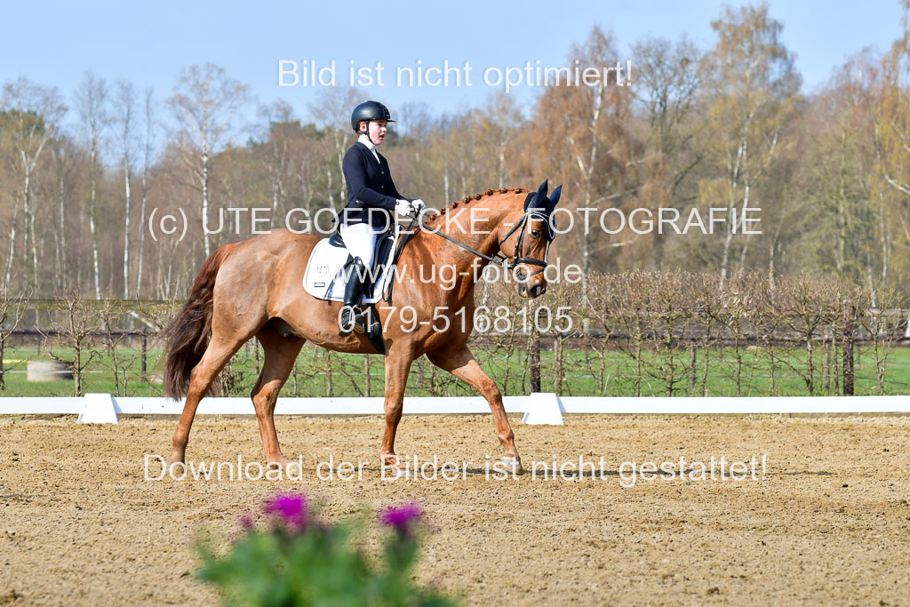 Reitsportzentrum Bremervörde | 10421 Dressur L Tr_236