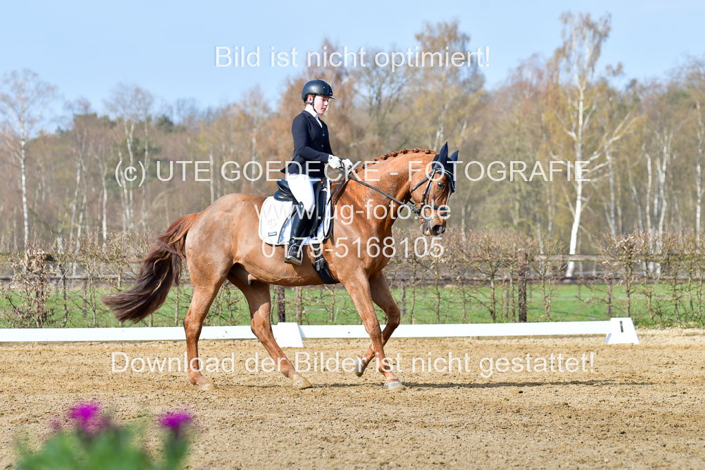 Reitsportzentrum Bremervörde | 10421 Dressur L Tr_237