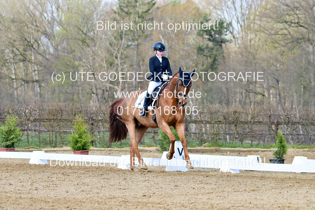 Reitsportzentrum Bremervörde | 10421 Dressur L Tr_238