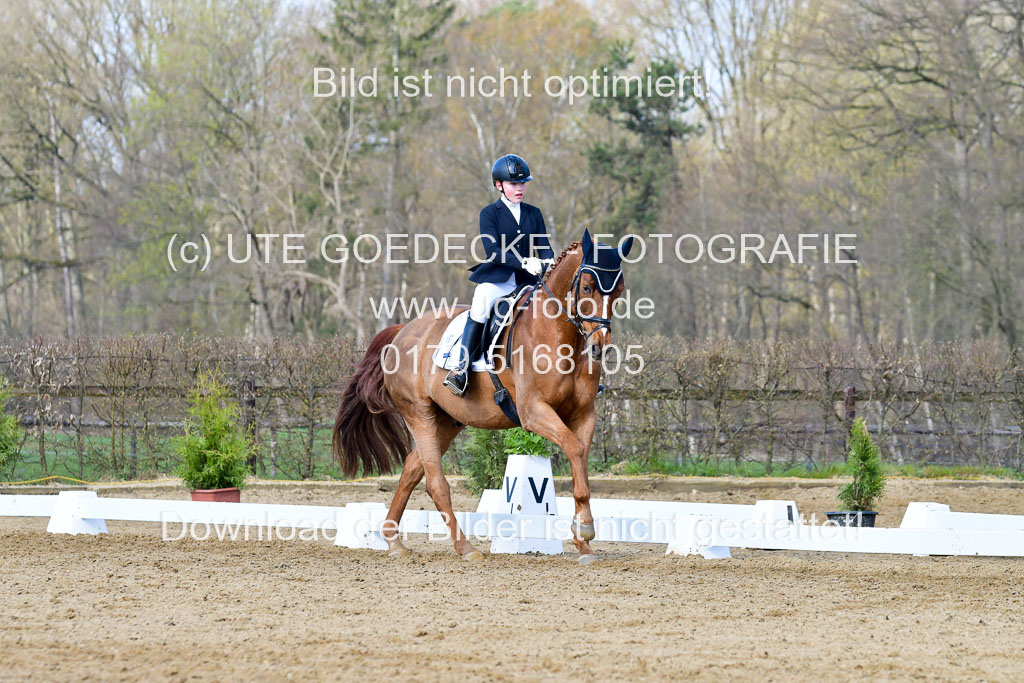 Reitsportzentrum Bremervörde | 10421 Dressur L Tr_239