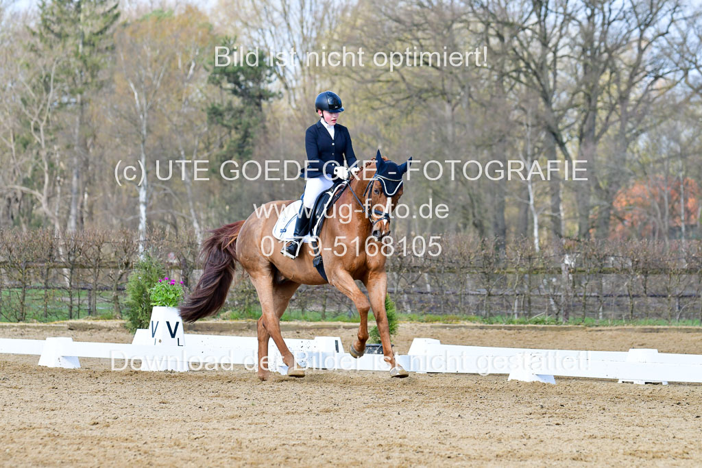 Reitsportzentrum Bremervörde | 10421 Dressur L Tr_240