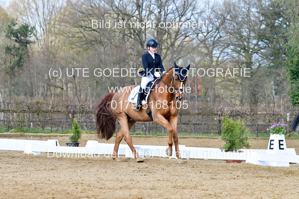 Reitsportzentrum Bremervörde | 10421 Dressur L Tr_242