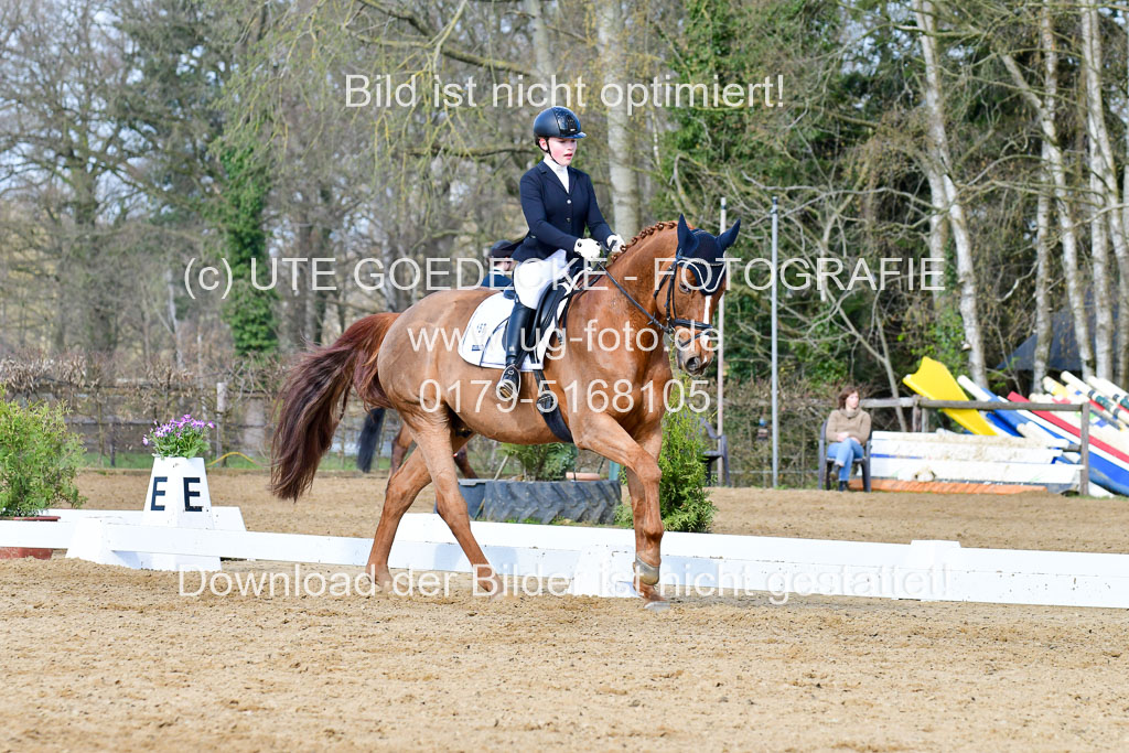 Reitsportzentrum Bremervörde | 10421 Dressur L Tr_243