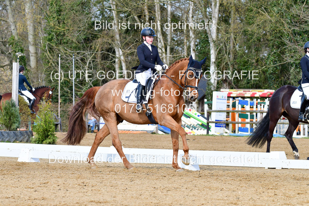 Reitsportzentrum Bremervörde | 10421 Dressur L Tr_244