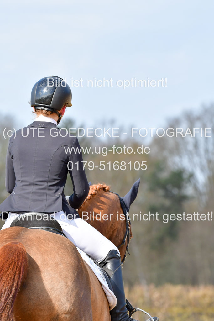 Reitsportzentrum Bremervörde | 10421 Dressur L Tr_245