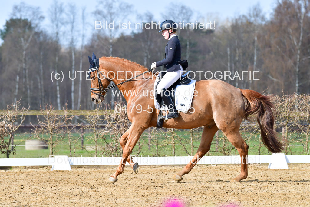 Reitsportzentrum Bremervörde | 10421 Dressur L Tr_246