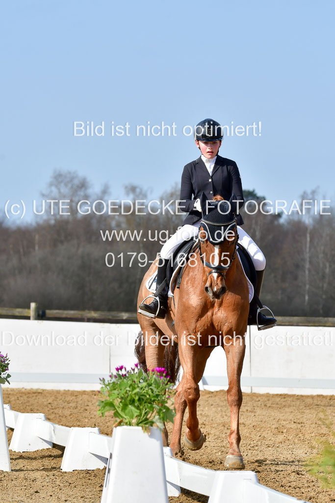 Reitsportzentrum Bremervörde | 10421 Dressur L Tr_247