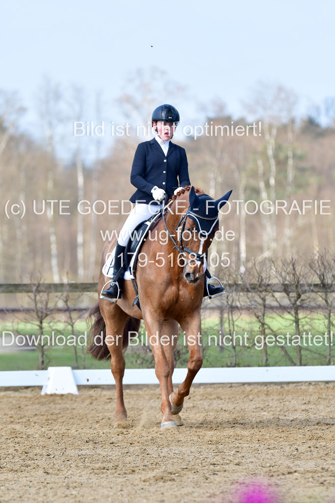 Reitsportzentrum Bremervörde | 10421 Dressur L Tr_249 