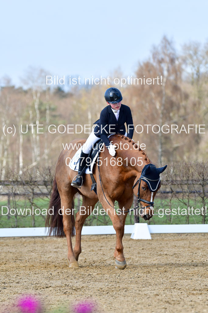 Reitsportzentrum Bremervörde | 10421 Dressur L Tr_250