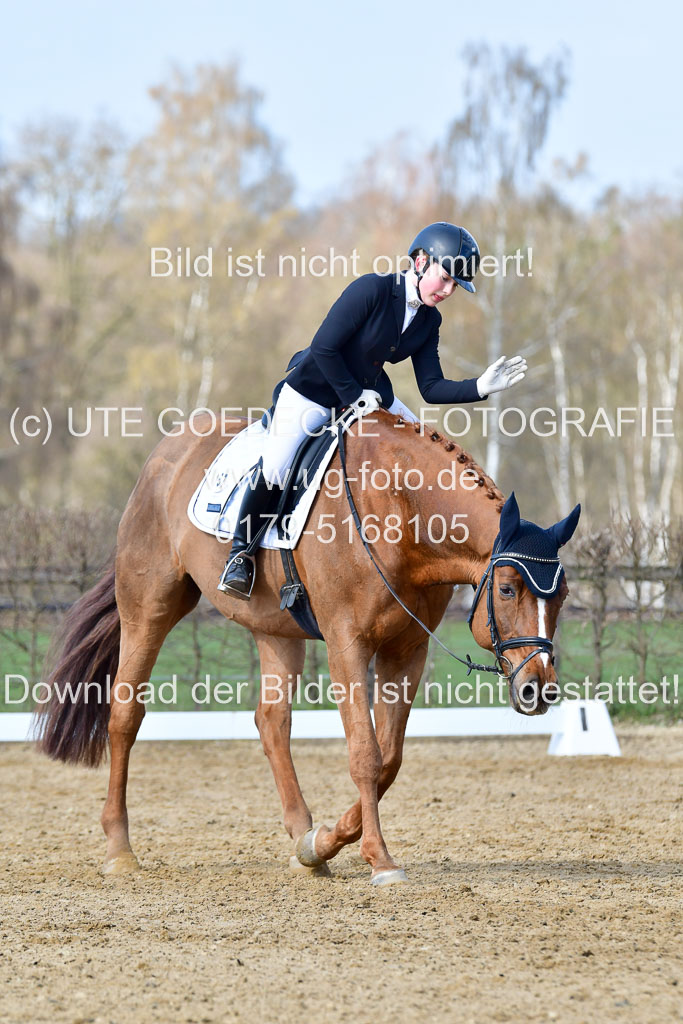 Reitsportzentrum Bremervörde | 10421 Dressur L Tr_251