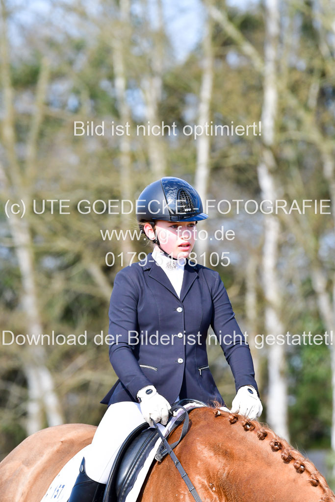 Reitsportzentrum Bremervörde | 10421 Dressur L Tr_252 