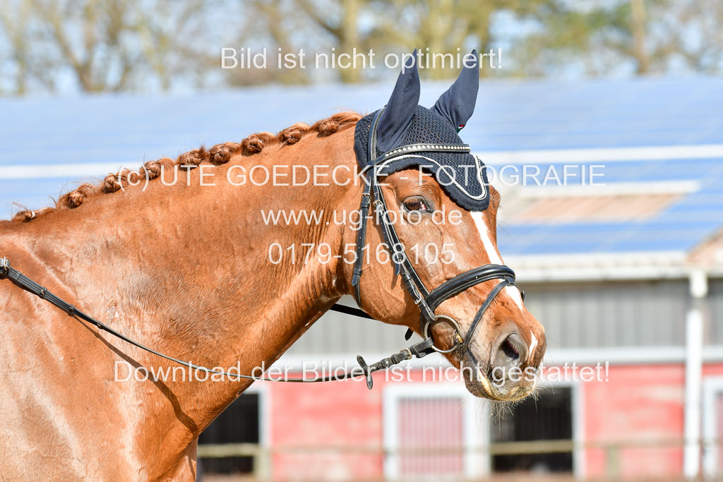 Reitsportzentrum Bremervörde | 10421 Dressur L Tr_255 