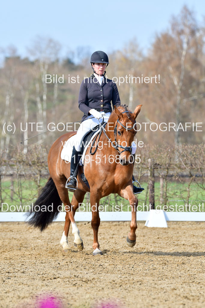 Reitsportzentrum Bremervörde | 10421 Dressur L Tr_256