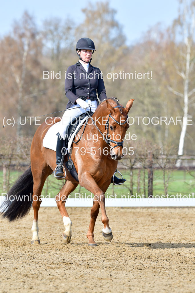 Reitsportzentrum Bremervörde | 10421 Dressur L Tr_257