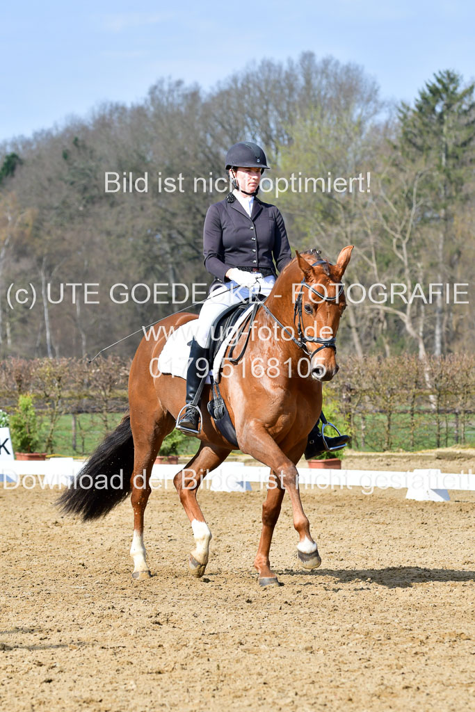 Reitsportzentrum Bremervörde | 10421 Dressur L Tr_258