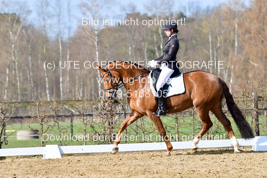 Reitsportzentrum Bremervörde | 10421 Dressur L Tr_259 