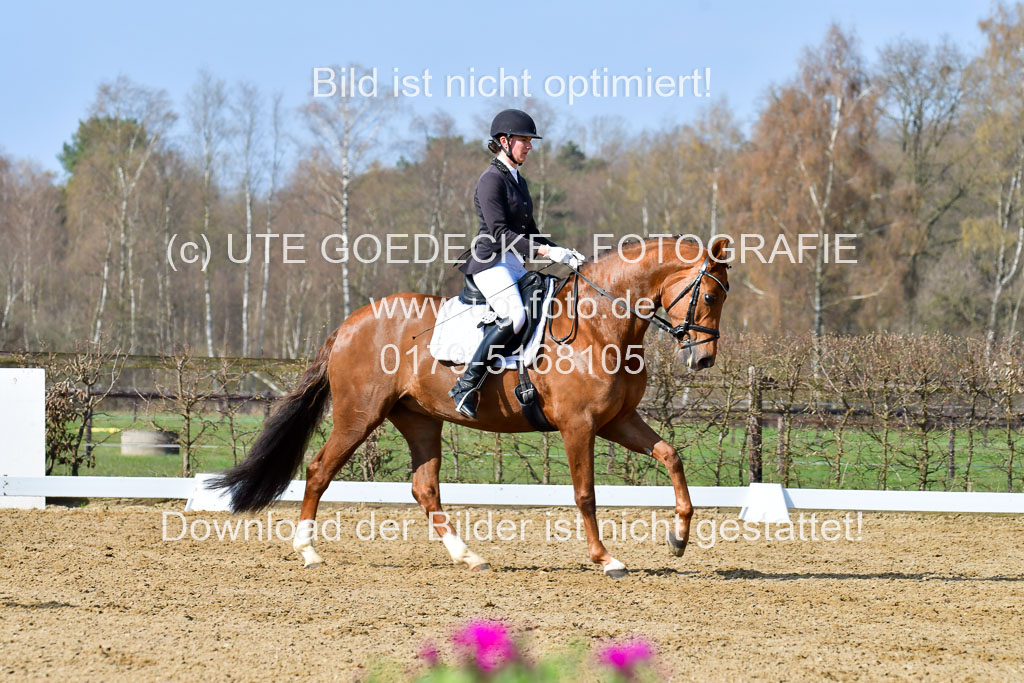 Reitsportzentrum Bremervörde | 10421 Dressur L Tr_260