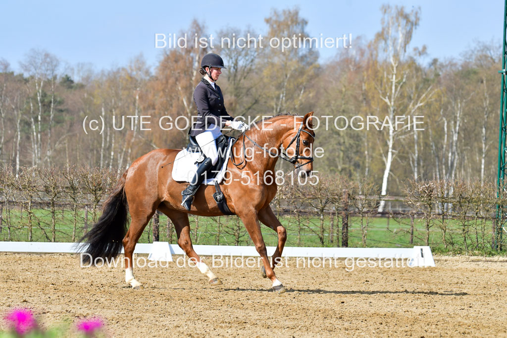 Reitsportzentrum Bremervörde | 10421 Dressur L Tr_261