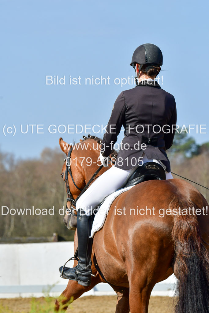 Reitsportzentrum Bremervörde | 10421 Dressur L Tr_264