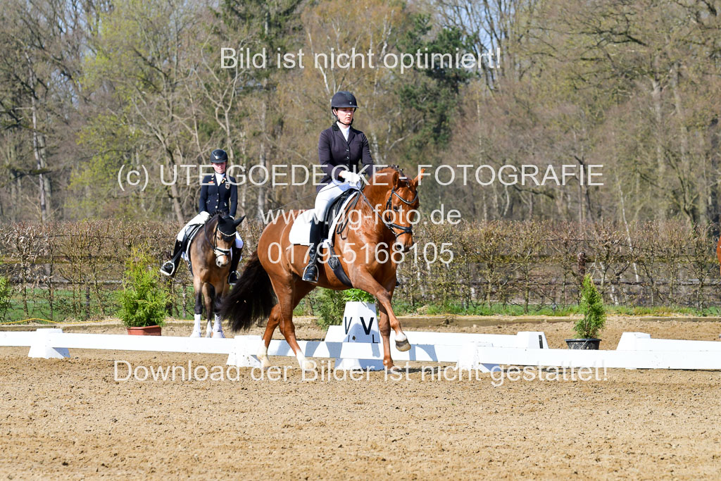 Reitsportzentrum Bremervörde | 10421 Dressur L Tr_265 