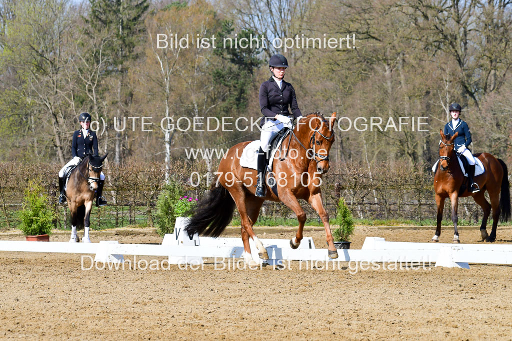 Reitsportzentrum Bremervörde | 10421 Dressur L Tr_266 