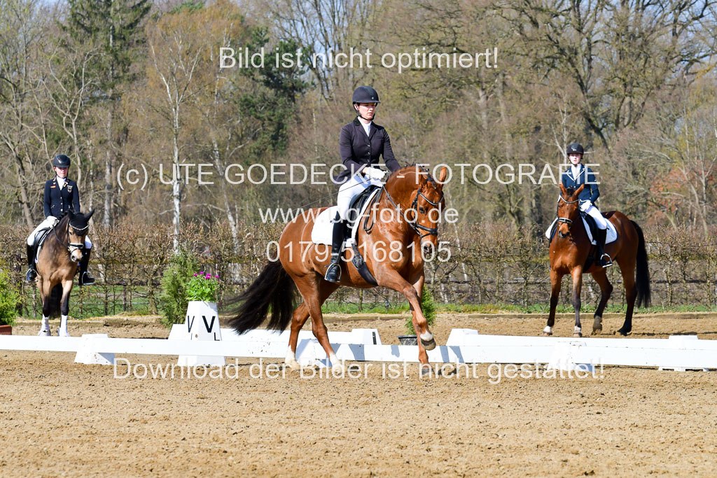 Reitsportzentrum Bremervörde | 10421 Dressur L Tr_267 