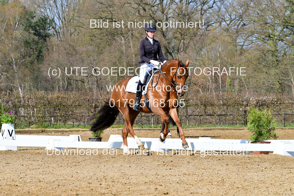 Reitsportzentrum Bremervörde | 10421 Dressur L Tr_268