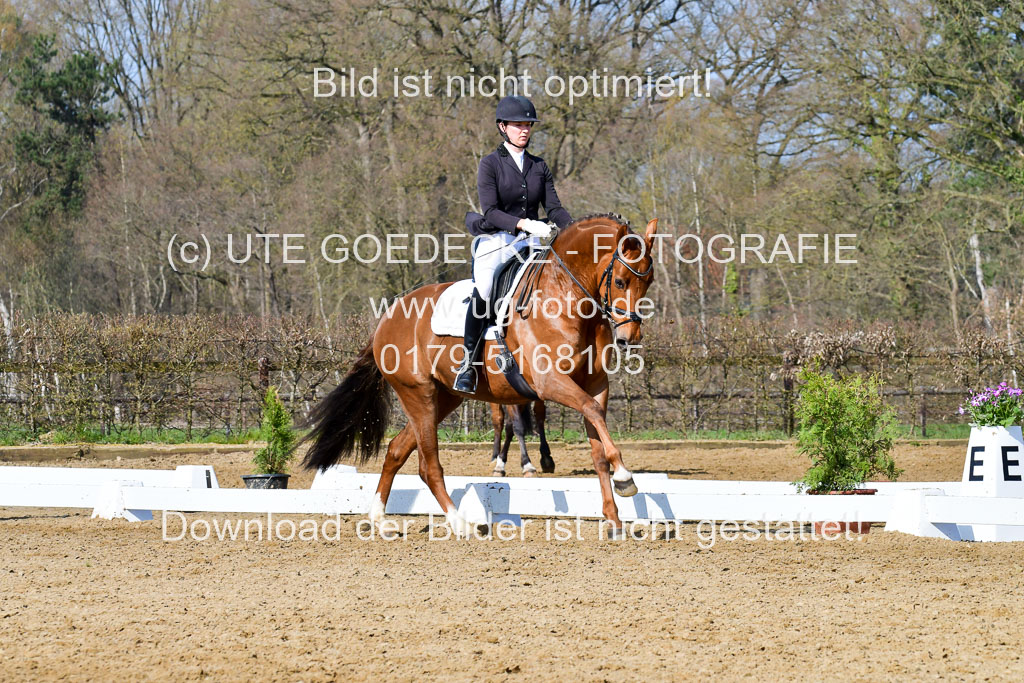 Reitsportzentrum Bremervörde | 10421 Dressur L Tr_269