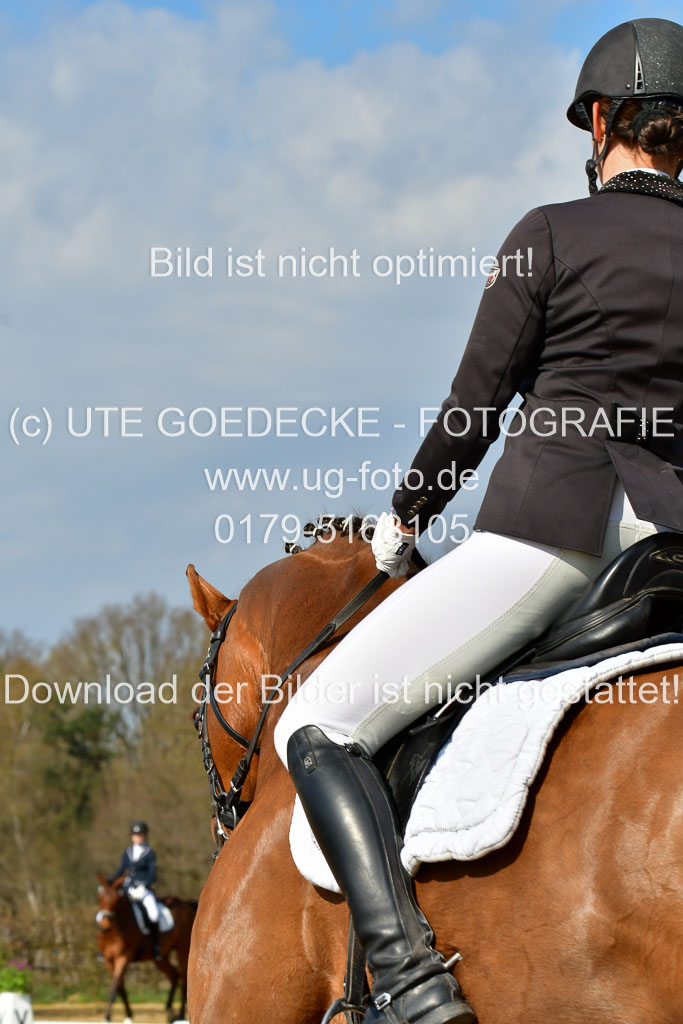 Reitsportzentrum Bremervörde | 10421 Dressur L Tr_270 