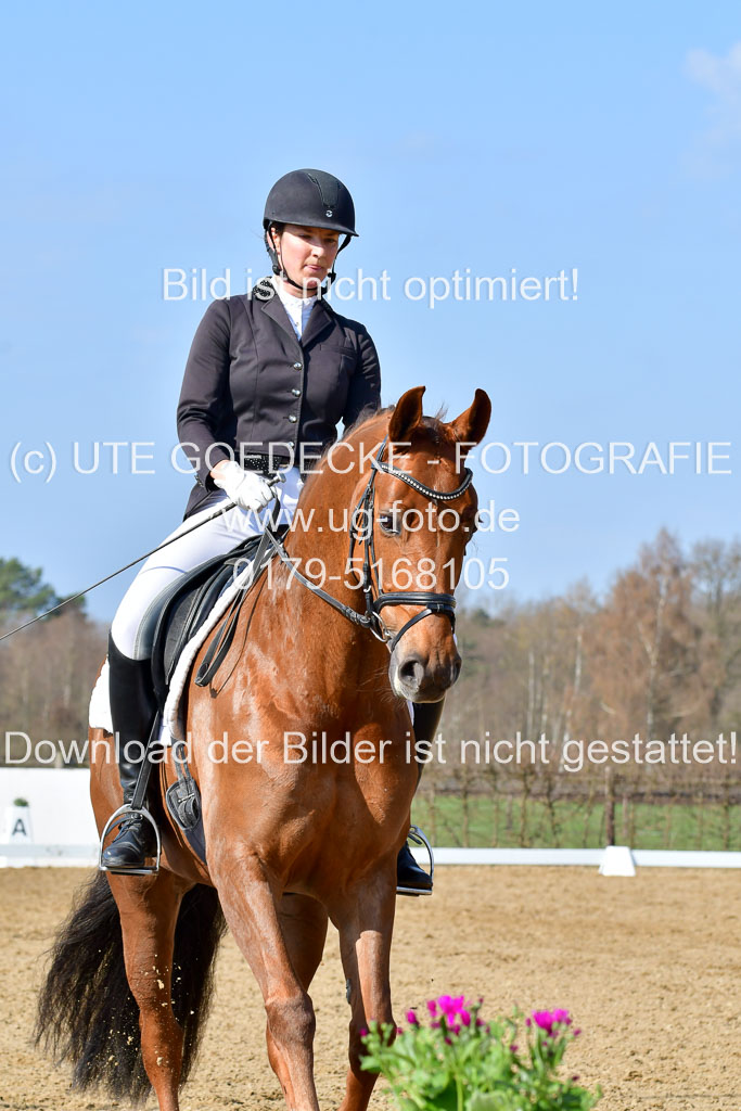 Reitsportzentrum Bremervörde | 10421 Dressur L Tr_273