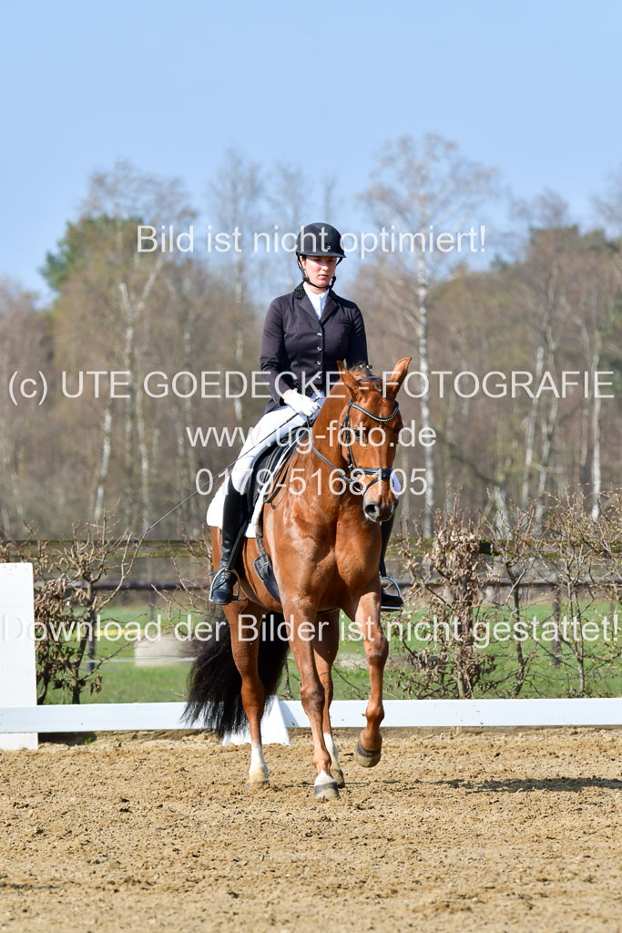 Reitsportzentrum Bremervörde | 10421 Dressur L Tr_274 
