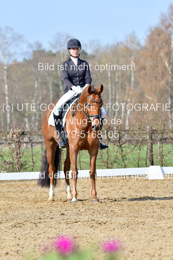 Reitsportzentrum Bremervörde | 10421 Dressur L Tr_275