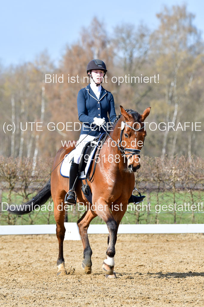 Reitsportzentrum Bremervörde | 10421 Dressur L Tr_281