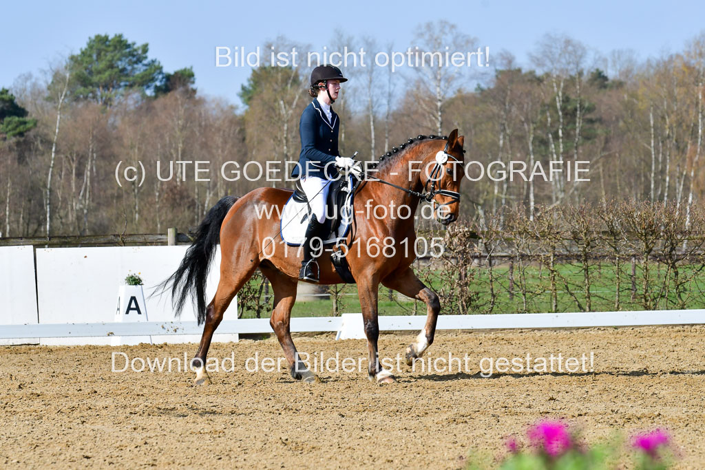Reitsportzentrum Bremervörde | 10421 Dressur L Tr_283