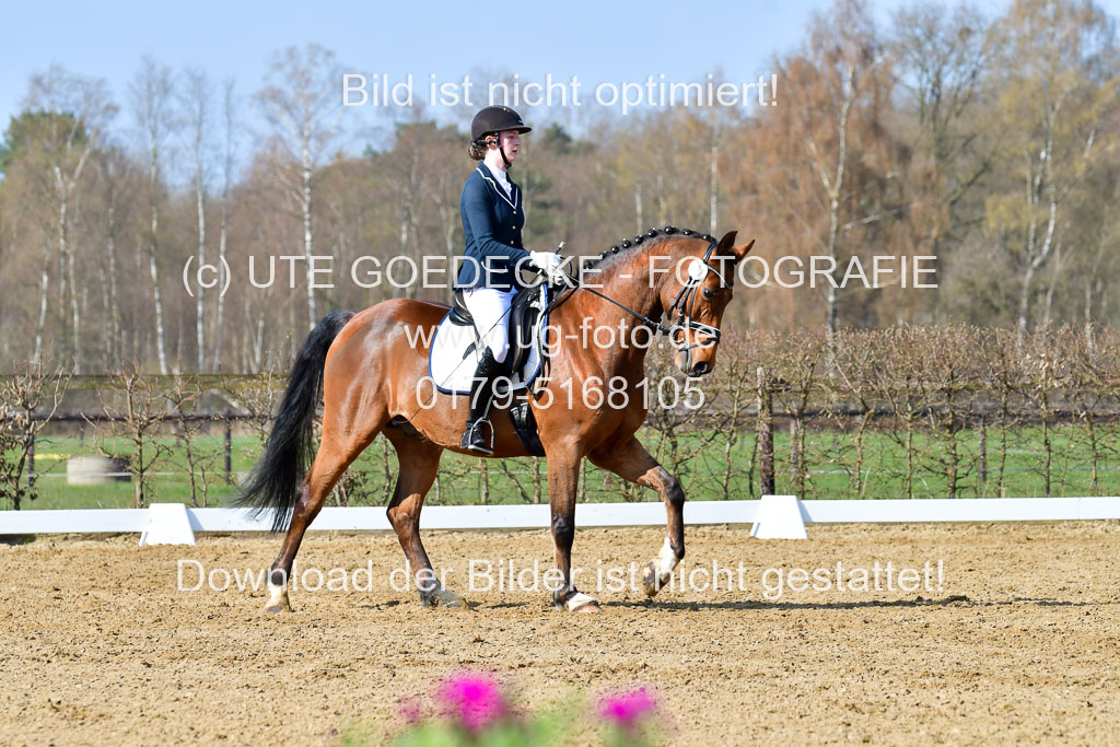 Reitsportzentrum Bremervörde | 10421 Dressur L Tr_284