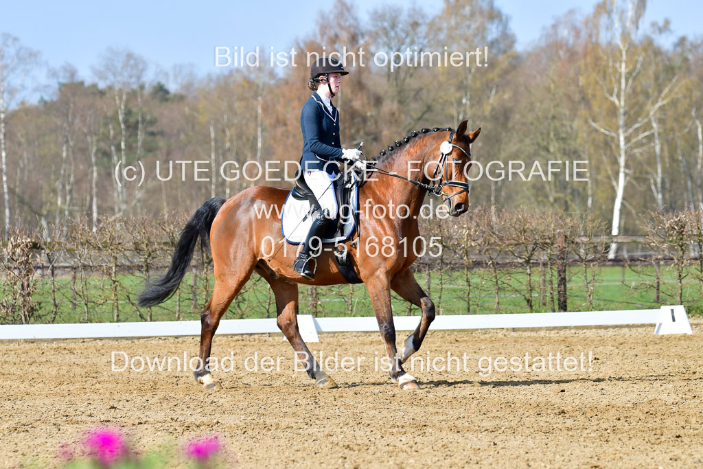 Reitsportzentrum Bremervörde | 10421 Dressur L Tr_285