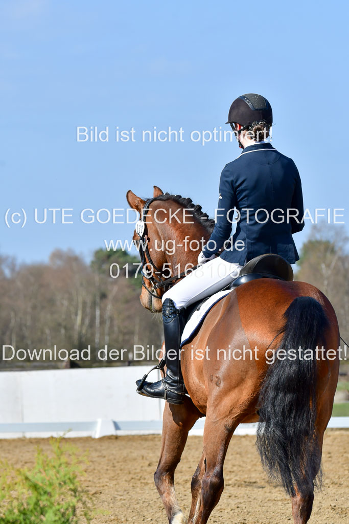 Reitsportzentrum Bremervörde | 10421 Dressur L Tr_286