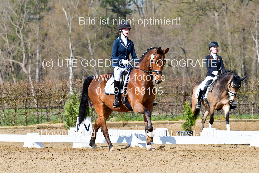 Reitsportzentrum Bremervörde | 10421 Dressur L Tr_289