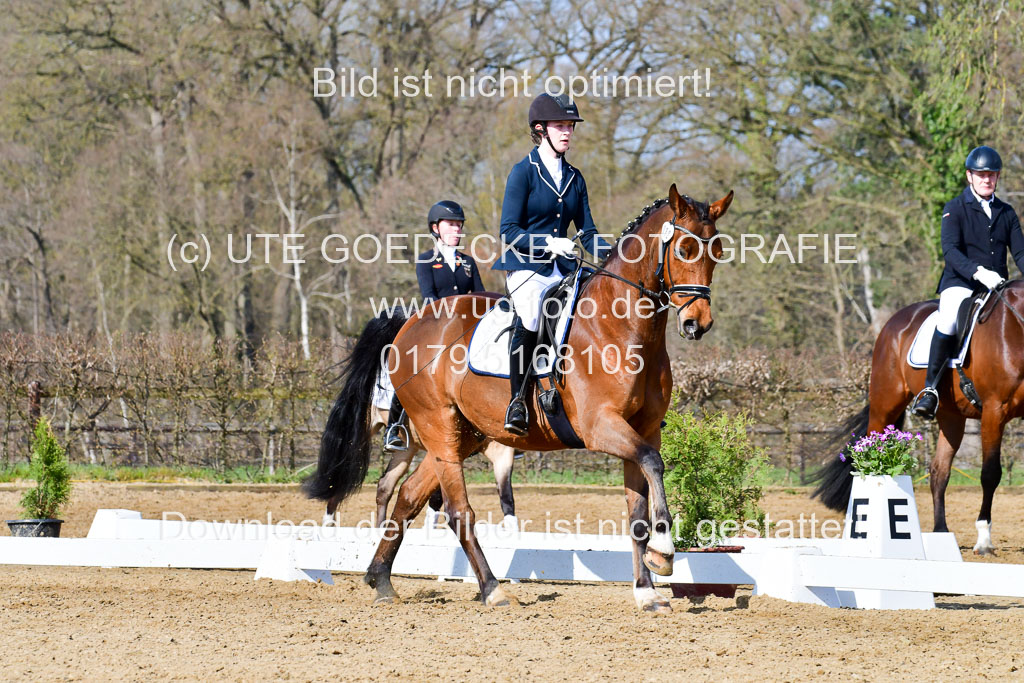 Reitsportzentrum Bremervörde | 10421 Dressur L Tr_290 