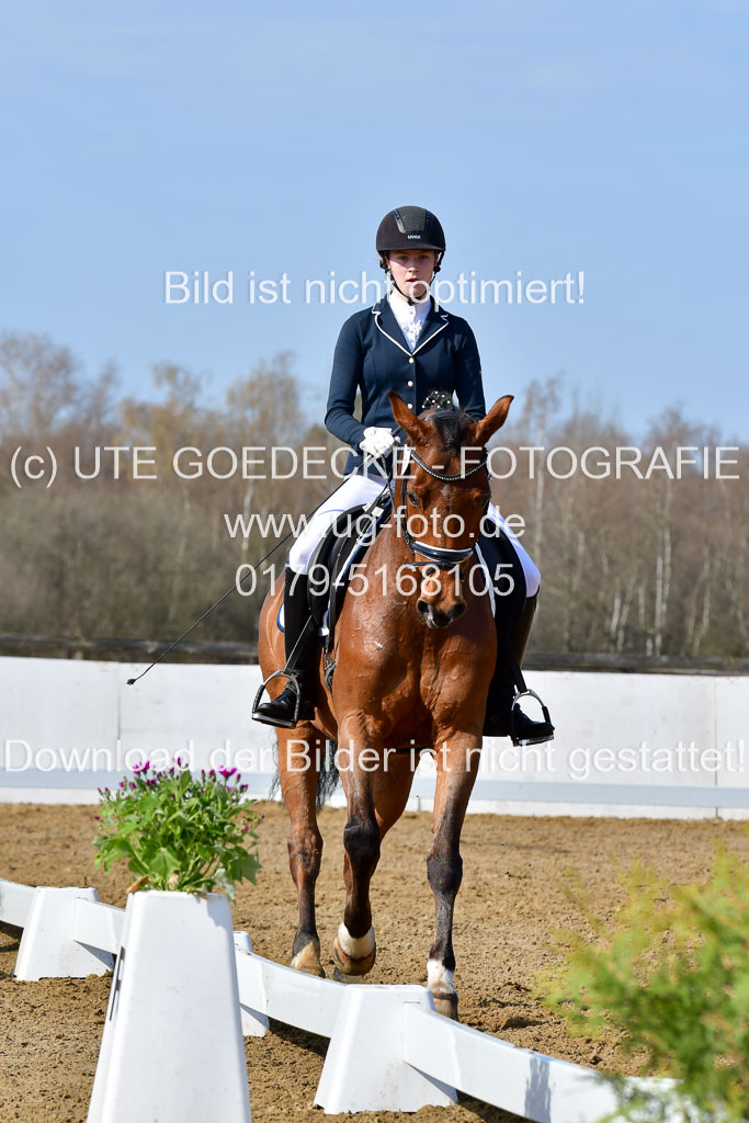 Reitsportzentrum Bremervörde | 10421 Dressur L Tr_293