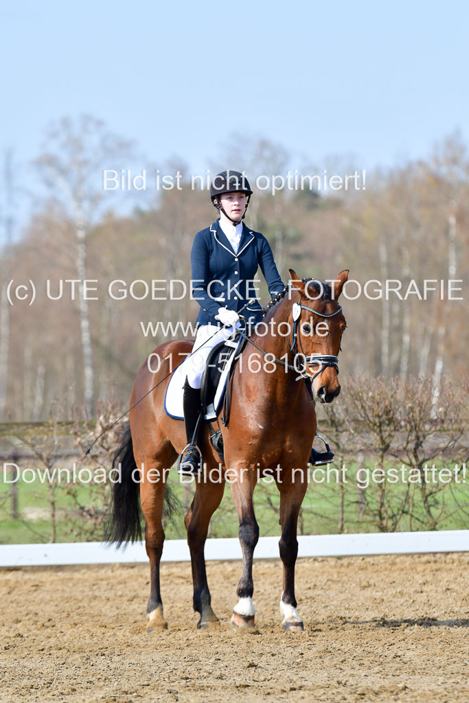 Reitsportzentrum Bremervörde | 10421 Dressur L Tr_295 