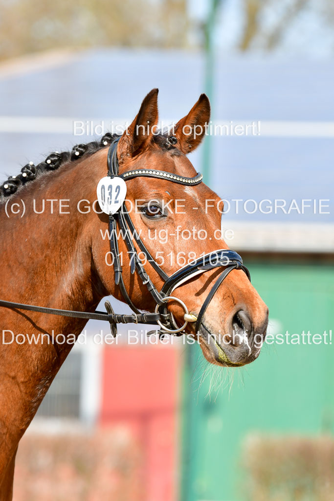 Reitsportzentrum Bremervörde | 10421 Dressur L Tr_298