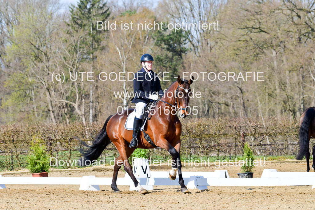 Reitsportzentrum Bremervörde | 10421 Dressur L Tr_305