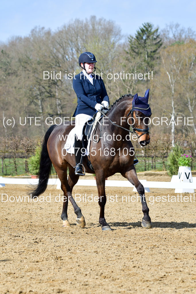 Reitsportzentrum Bremervörde | 10421 Dressur L Tr_315
