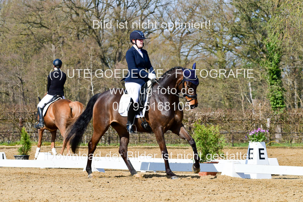Reitsportzentrum Bremervörde | 10421 Dressur L Tr_316