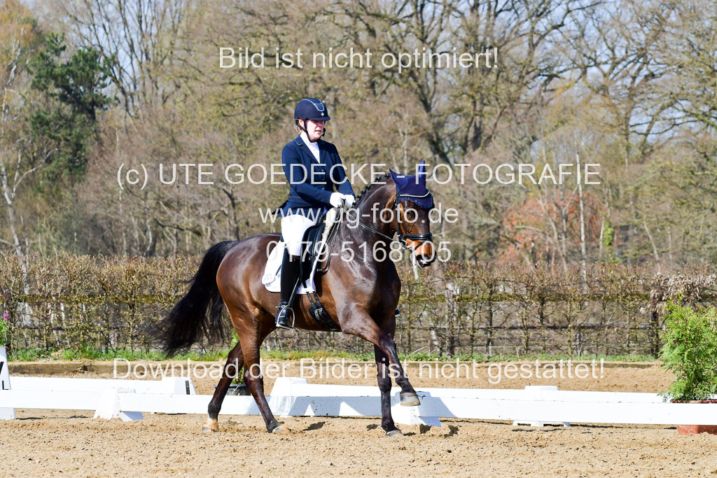 Reitsportzentrum Bremervörde | 10421 Dressur L Tr_320 