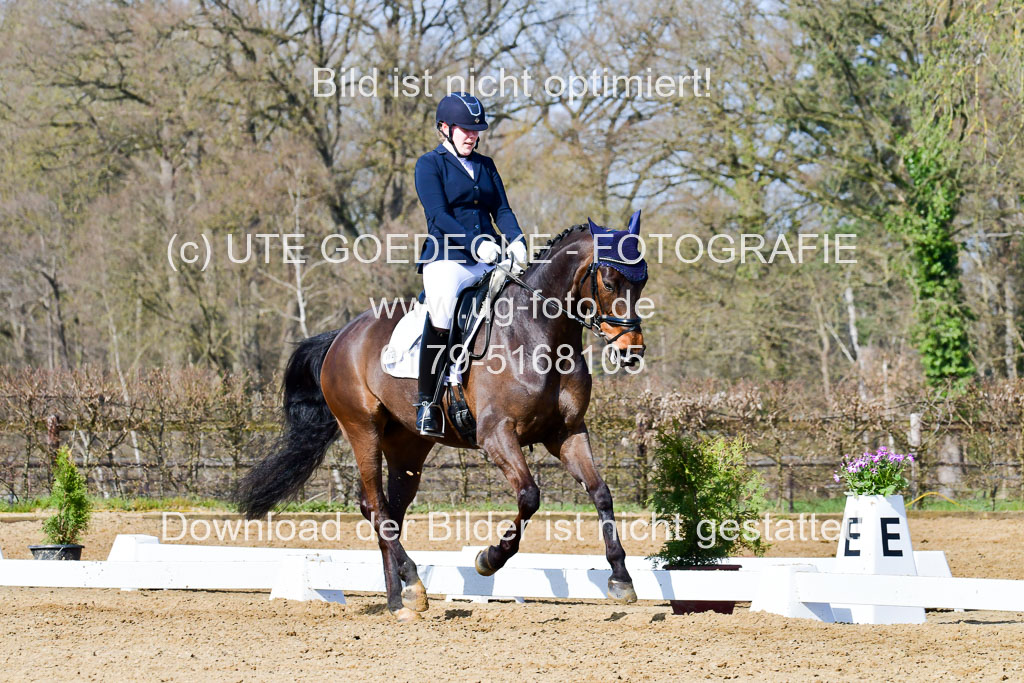 Reitsportzentrum Bremervörde | 10421 Dressur L Tr_321 