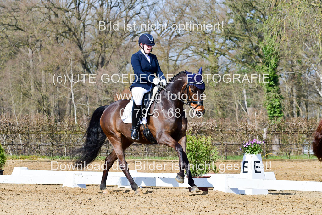 Reitsportzentrum Bremervörde | 10421 Dressur L Tr_322
