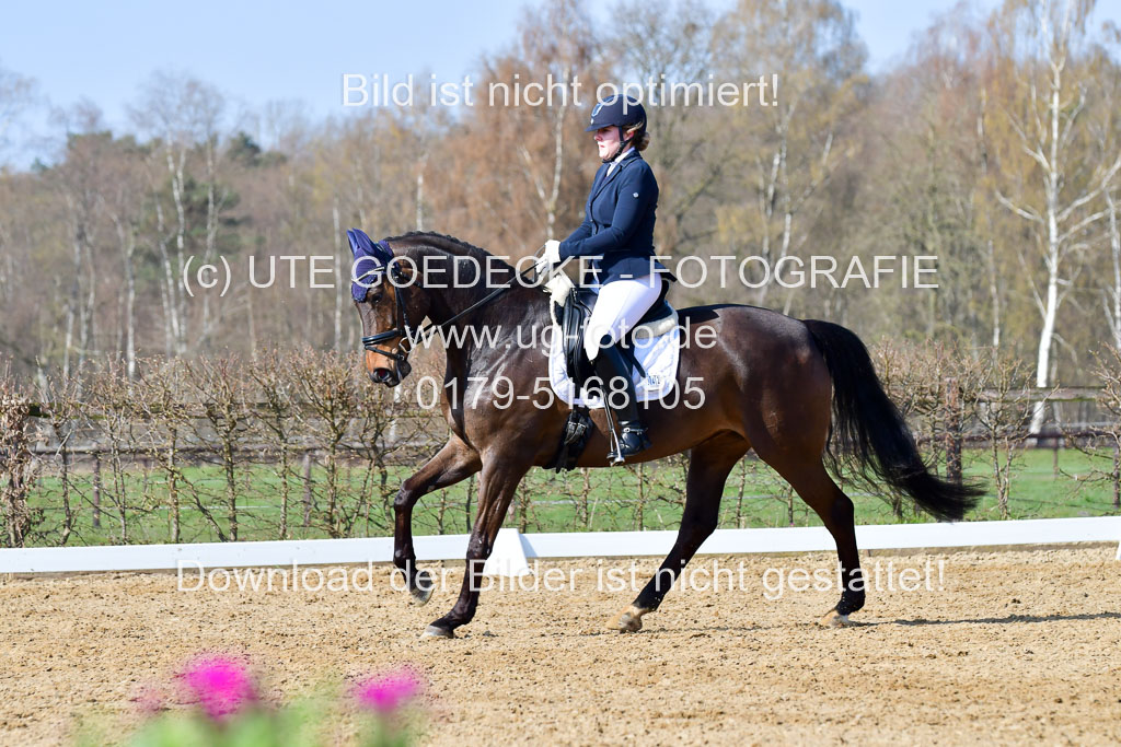 Reitsportzentrum Bremervörde | 10421 Dressur L Tr_323 